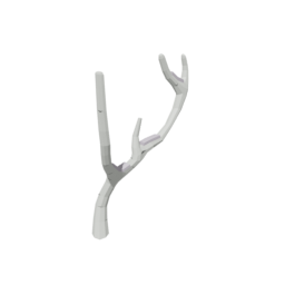 Birch Tree Dead Snow 1